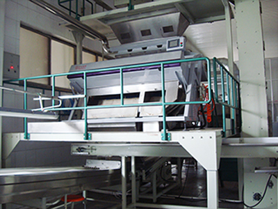 Peanut Sorting Machine